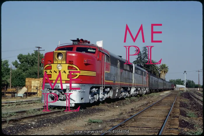 : Train - Railroad - Diesel - Transportation : Train - Railroad - Diesel - Transportation