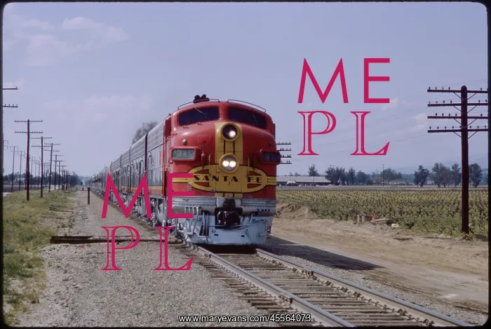 : Train - Railroad - Diesel - Transportation : Train - Railroad - Diesel - Transportation