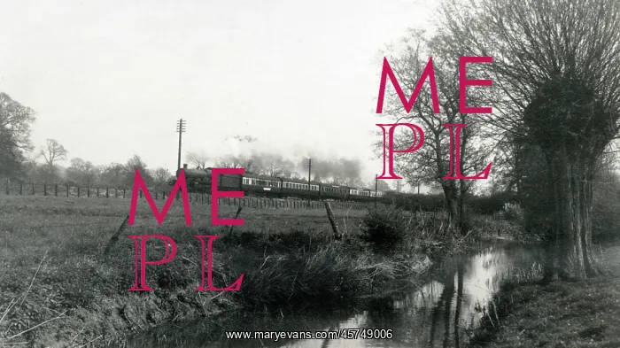 : Train by the River Evenlode, near Oddington House, Glos : Train by the River Evenlode, near Oddington House, Glos