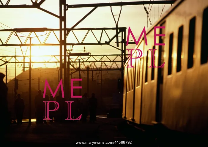 : Train with sunlight glinting off the carriages at sunset : Train with sunlight glinting off the carriages at sunset