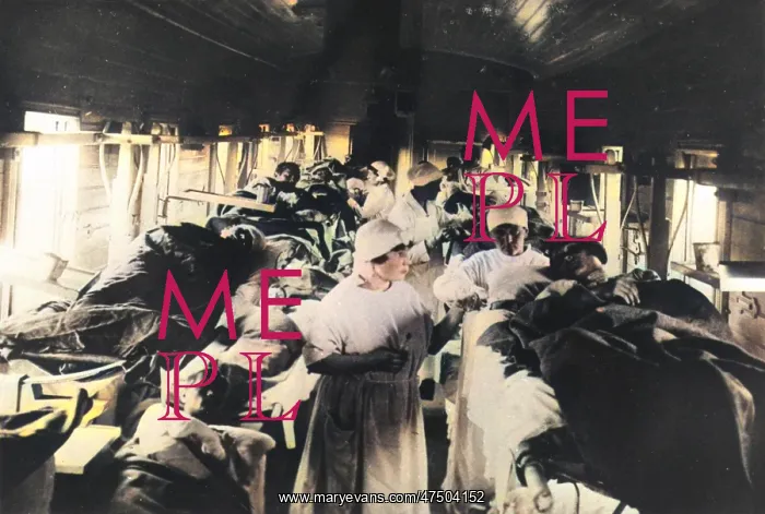 : Train Transporting Typhoid Sufferers : Train Transporting Typhoid Sufferers