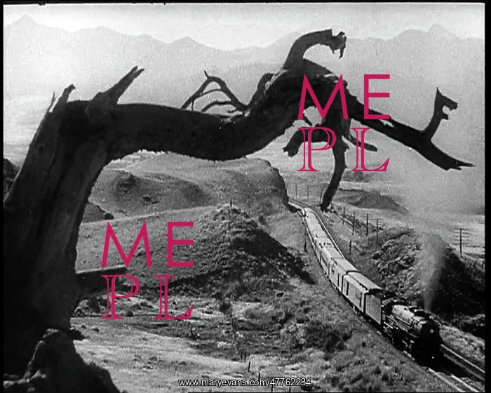 : A Train Travelling Through the Prairie And : A Train Travelling Through the Prairie And