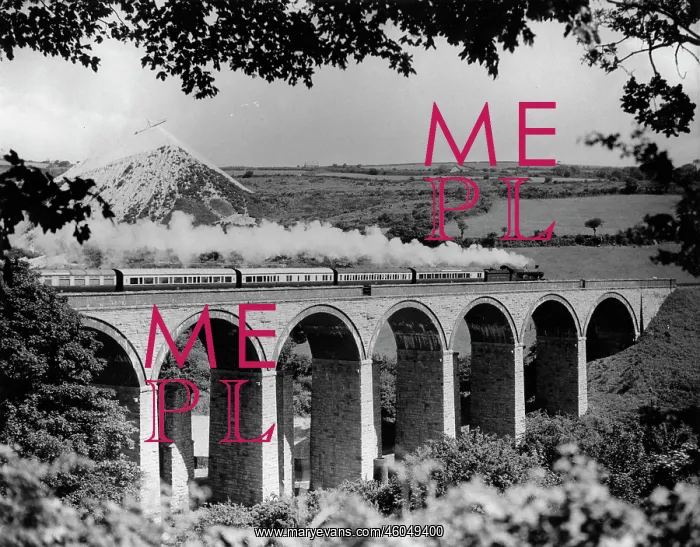 : Train on a viaduct : Train on a viaduct