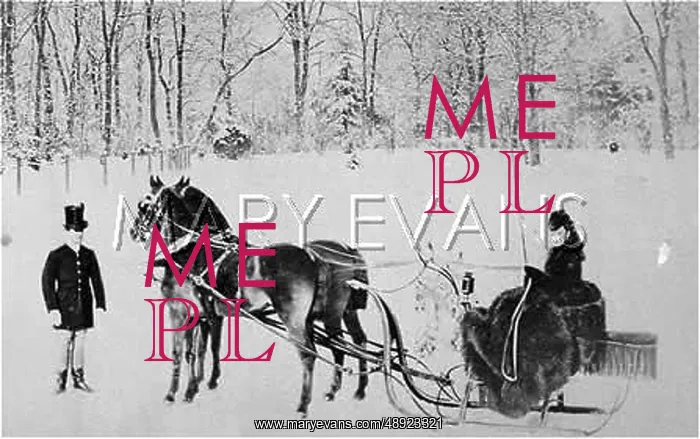  : TRAINEAU, 1860SLEIGH