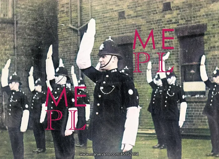 : TRAINEE TRAFFIC POLICE : TRAINEE TRAFFIC POLICE