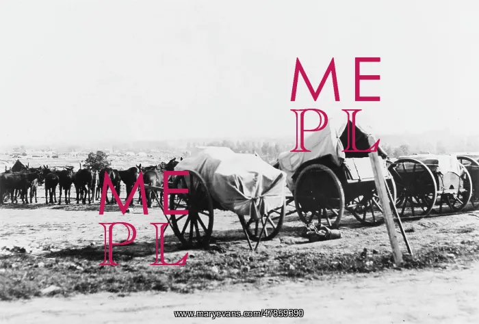 : Training Camp, 1917 : Training Camp, 1917