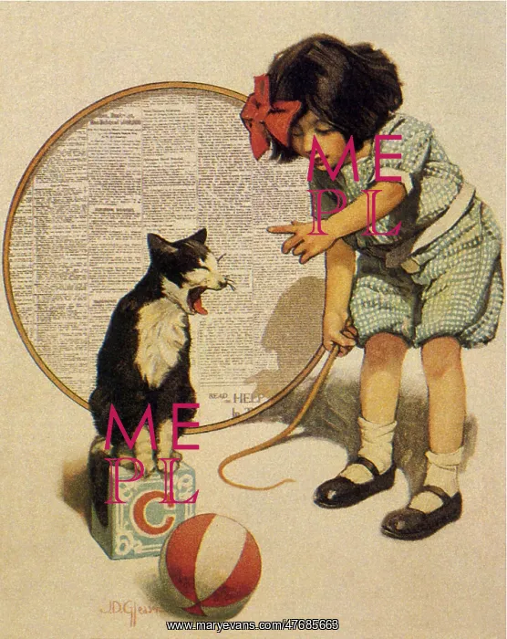  : Training a Cat