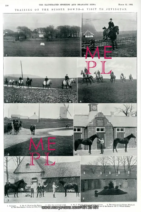 : Training on the Sussex Downs, 1902 : Training on the Sussex Downs, 1902