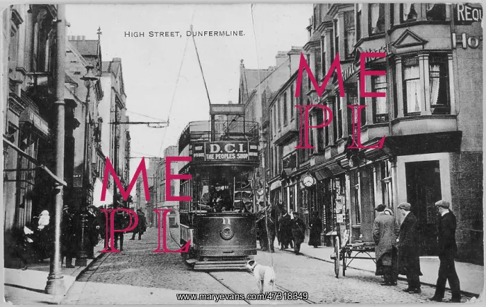 : Tram Meets Dog : Tram Meets Dog