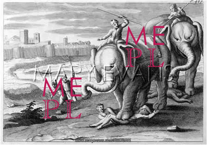 : TRAMPLED BY ELEPHANTS : TRAMPLED BY ELEPHANTS