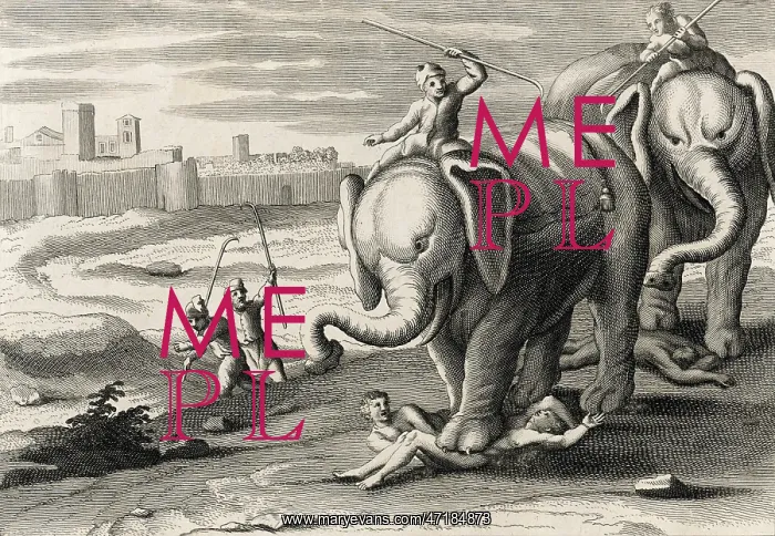 : TRAMPLING MEN / ELEPHANTS : TRAMPLING MEN / ELEPHANTS