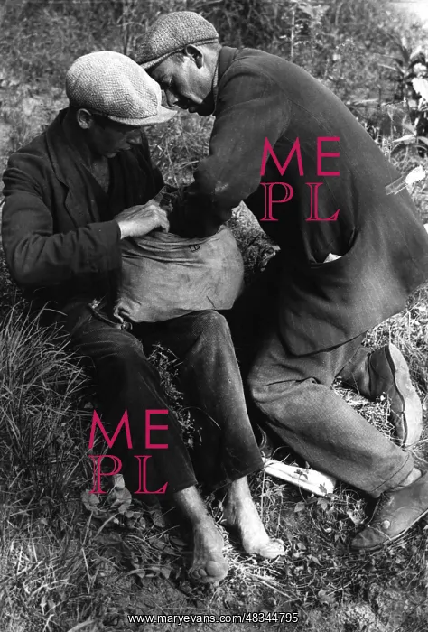 : Tramps. A tramp packs food out and his comrade next to him expects this with impatience : Tramps. A tramp packs food out and his comrade next to him expects this with impatience