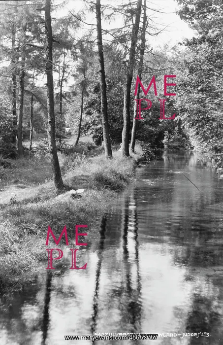 : Tranquil River Scene at Newland : Tranquil River Scene at Newland
