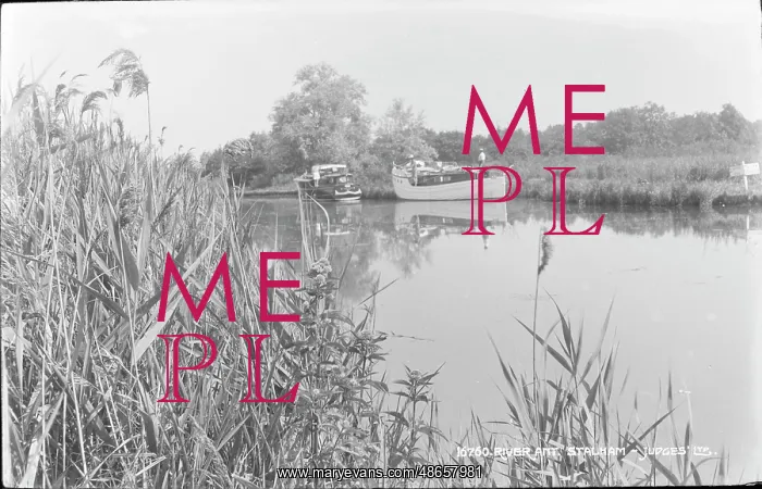 : Tranquil River Scene at Stalham : Tranquil River Scene at Stalham