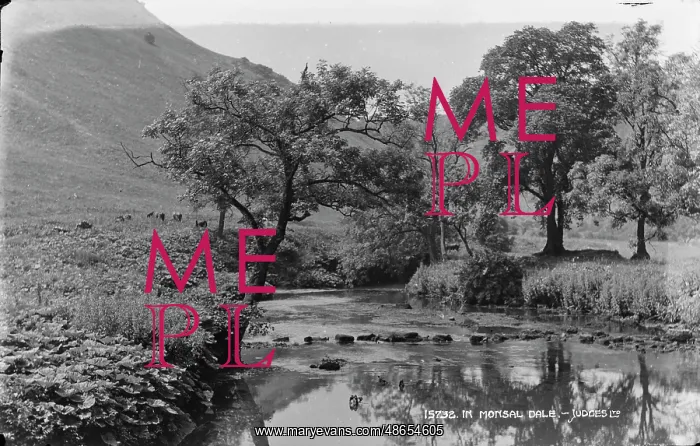 : Tranquil Scene in Monsal Dale : Tranquil Scene in Monsal Dale