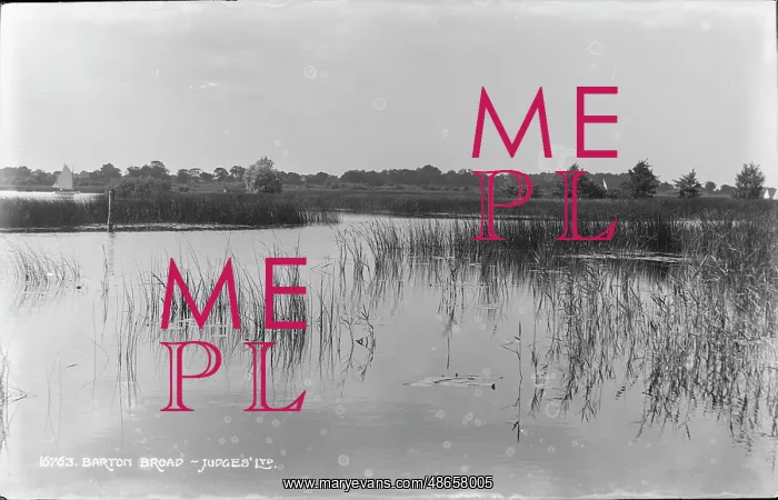 : Tranquil Waters of Barton Broad : Tranquil Waters of Barton Broad