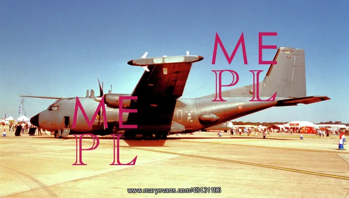 : Transall C-160G Gabriel F221 : Transall C-160G Gabriel F221