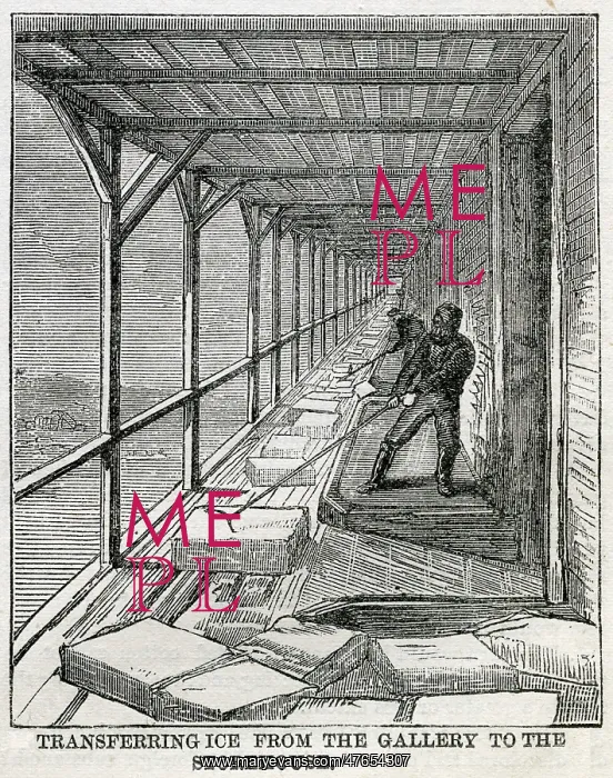 : Transferring ice to storehouse, Hudson River 1875 : Transferring ice to storehouse, Hudson River 1875