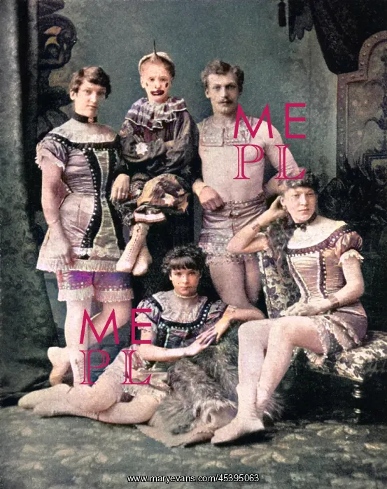 : Transfield circus family : Transfield circus family
