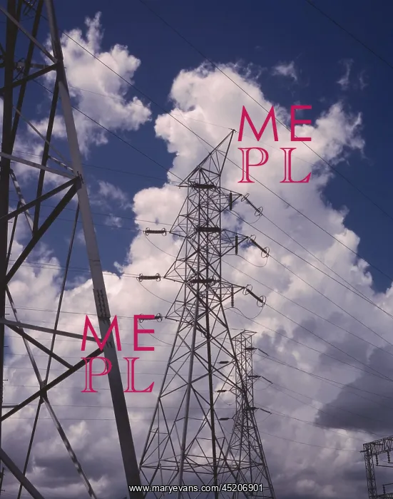 : Transmission towers in the switchyard of ? : Transmission towers in the switchyard of ?