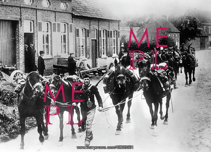 : Transport of Belgian arms, 1914 : Transport of Belgian arms, 1914