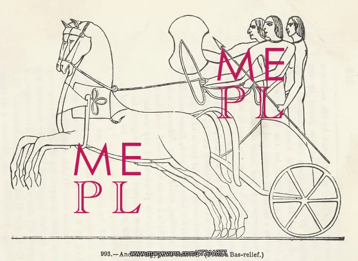  : Transport - Chariot