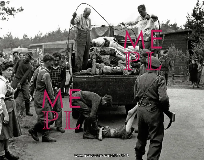 : Transport of corpses at Bergen-Belsen : Transport of corpses at Bergen-Belsen