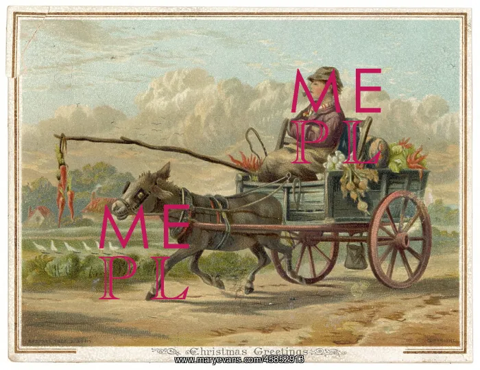 : Transport - Donkey - circa 1880 : Transport - Donkey - circa 1880