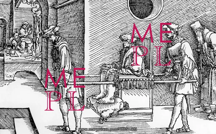  : Transport of a gout sufferer, 16th century