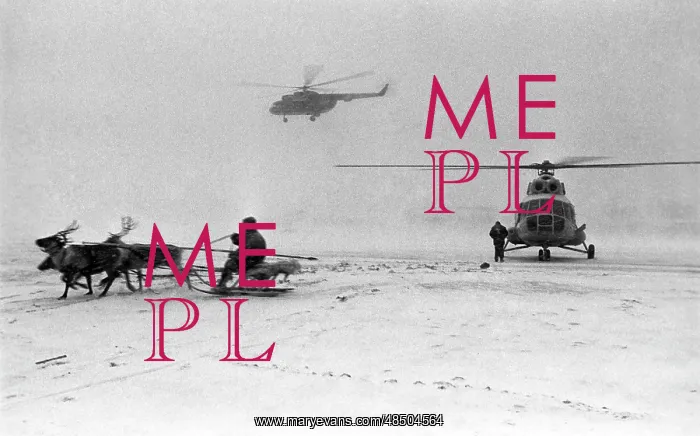  : Transport in the North Pole, 1981