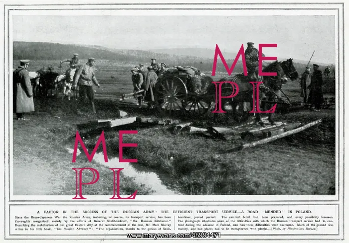 : Transport service of the Russian army 1914 : Transport service of the Russian army 1914