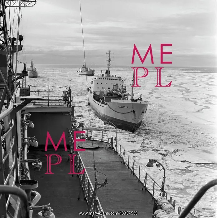 : Transport Vessel Convoy : Transport Vessel Convoy
