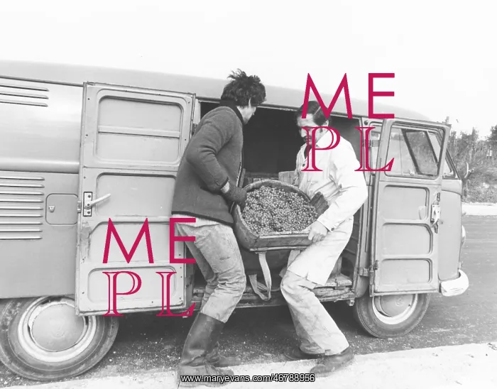 : Transport of a wine butte : Transport of a wine butte