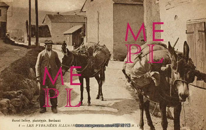  : Transportation in the French Pyrenees - laden pack mules