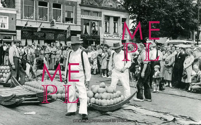 : Transporting cheeses - Alkmaar, the Netherlands : Transporting cheeses - Alkmaar, the Netherlands