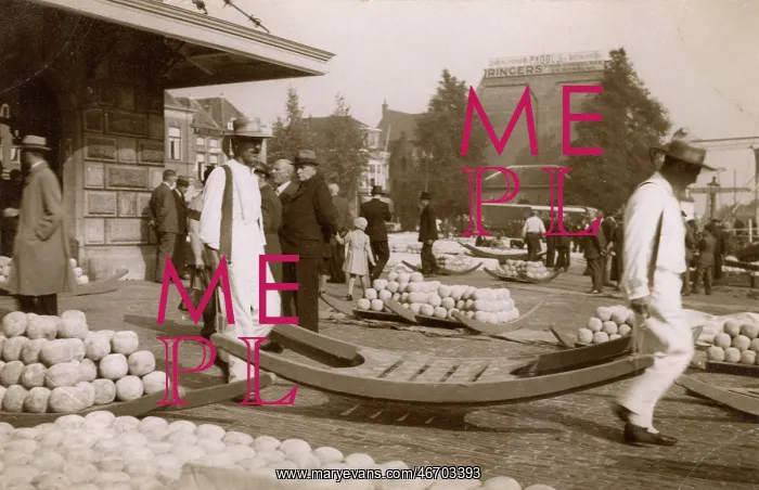 : Transporting cheeses - Alkmaar, the Netherlands : Transporting cheeses - Alkmaar, the Netherlands