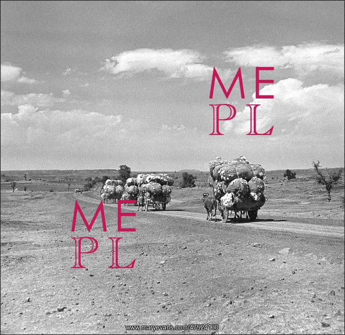 : Transporting goods in Madhya Pradesh, Central India : Transporting goods in Madhya Pradesh, Central India