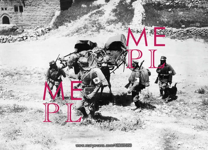 : Transporting wounded soldiers on a camel, 1918 : Transporting wounded soldiers on a camel, 1918