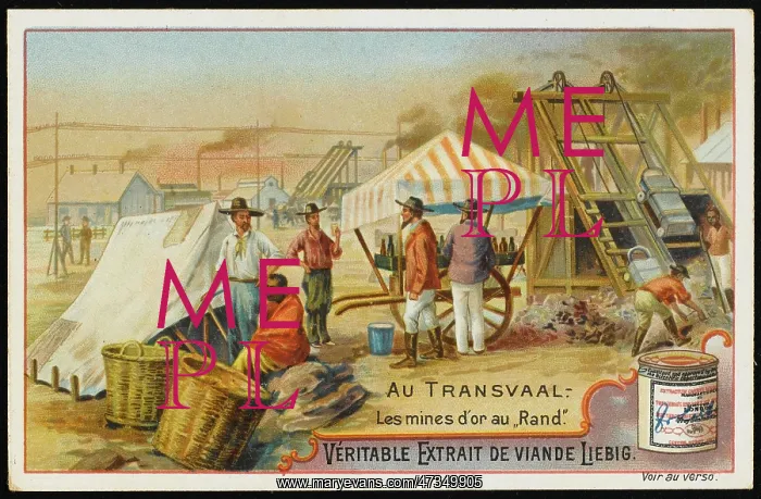  : TRANSVAAL GOLD MINING