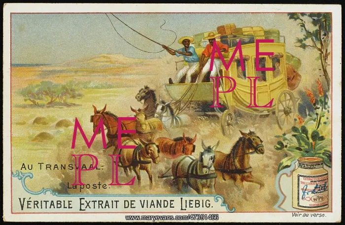 : TRANSVAAL MAIL COACH : TRANSVAAL MAIL COACH