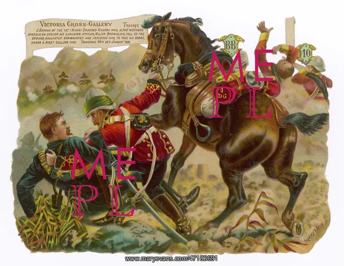  : Transvaal War