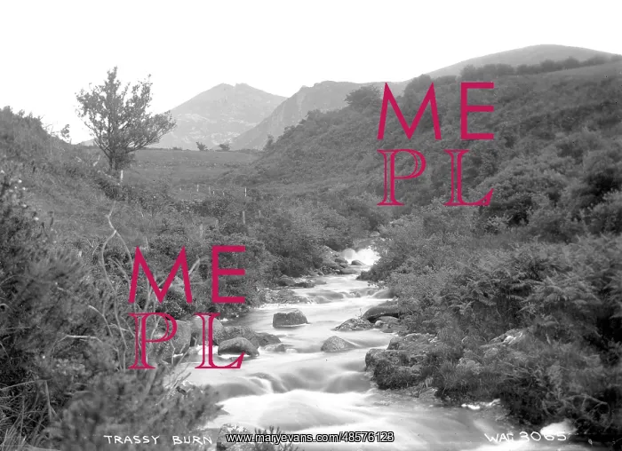 : Trassey Burn, Mournes, Co. Down : Trassey Burn, Mournes, Co. Down