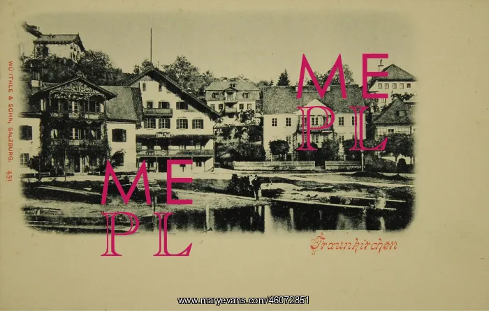: Traunkirchen. View from the lake to the villas : Traunkirchen. View from the lake to the villas