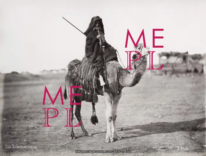 : Traveller, Bedouin man on camel, Egypt : Traveller, Bedouin man on camel, Egypt