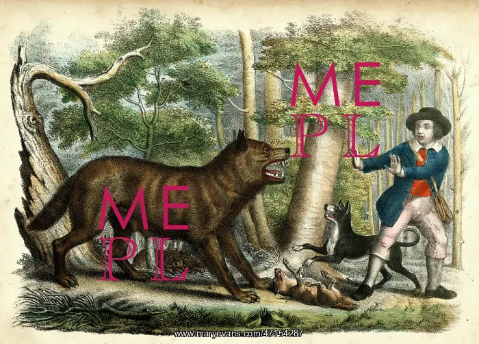 : Traveller and dog attacked by a wolf : Traveller and dog attacked by a wolf
