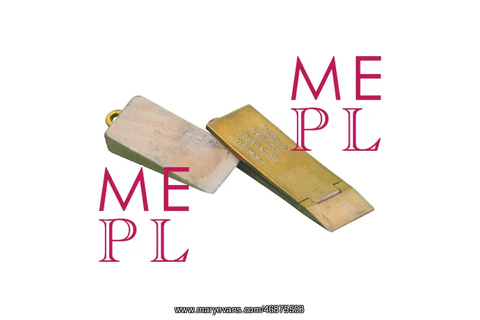 : Traveller's door fastener : Traveller's door fastener