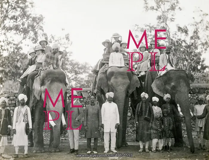 : Travellers riding elephants in India, c.1900 : Travellers riding elephants in India, c.1900
