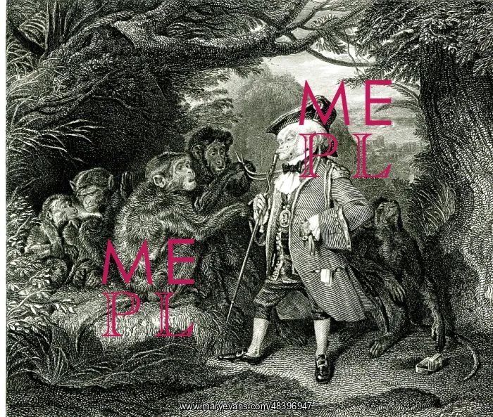  : The Travelling Monkey by Edwin Landseer