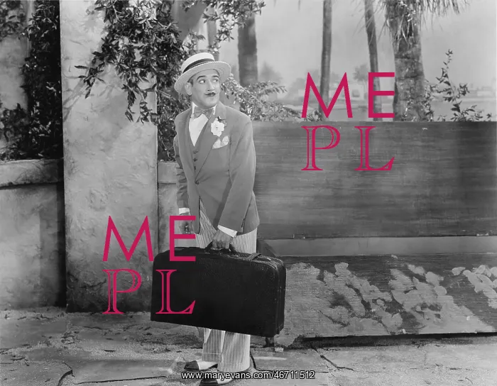: Travelling salesman and his suitcase : Travelling salesman and his suitcase