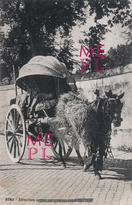 : Travelling wine seller in his cart : Travelling wine seller in his cart